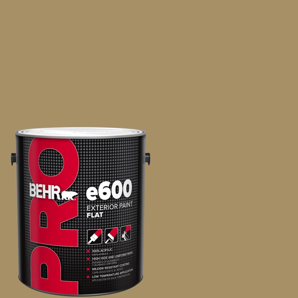1 gal. #350F-6 Fossil Butte Flat Exterior Paint price history on PriceWatchPro