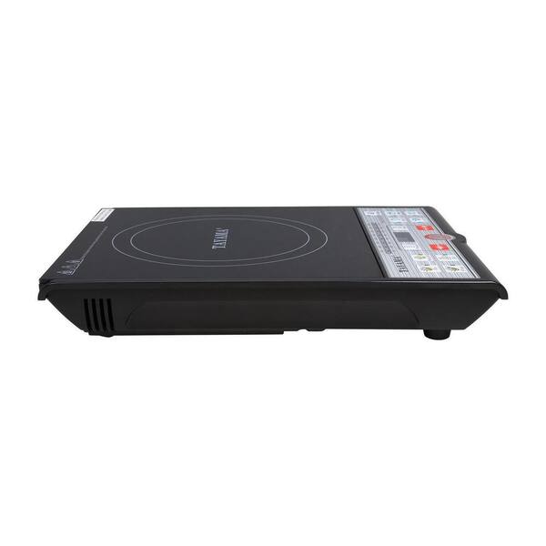 home depot induction hot plate