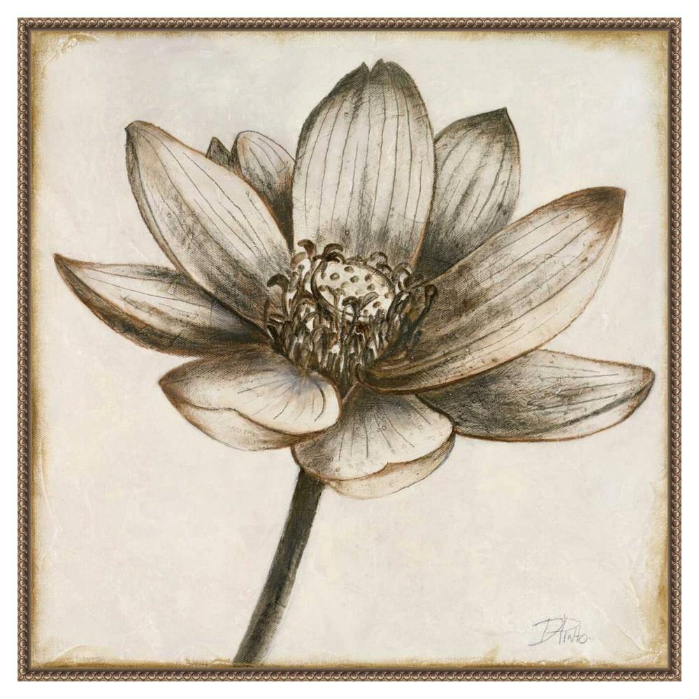 Sepia Lotus Blossom II 30" x 30" Beaded Framed Canvas Wall Art