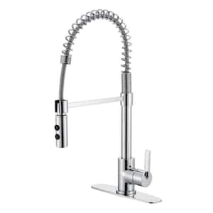 Euro Spring Single Handle Pull-Down Sprayer Kitchen Faucet with Accessories Rust and Spot Resist in Polished Chrome