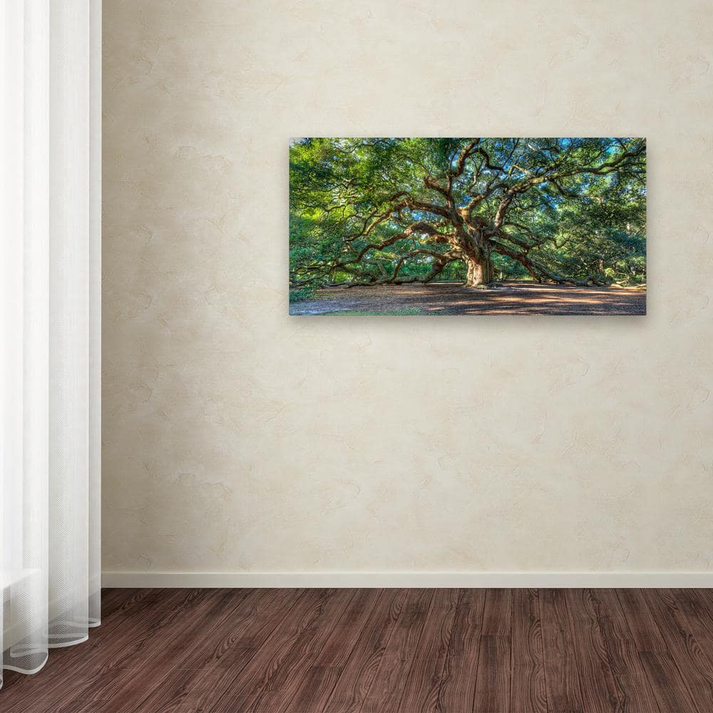 Angel Oak Charleston Large Landscape Canvas Wall Art