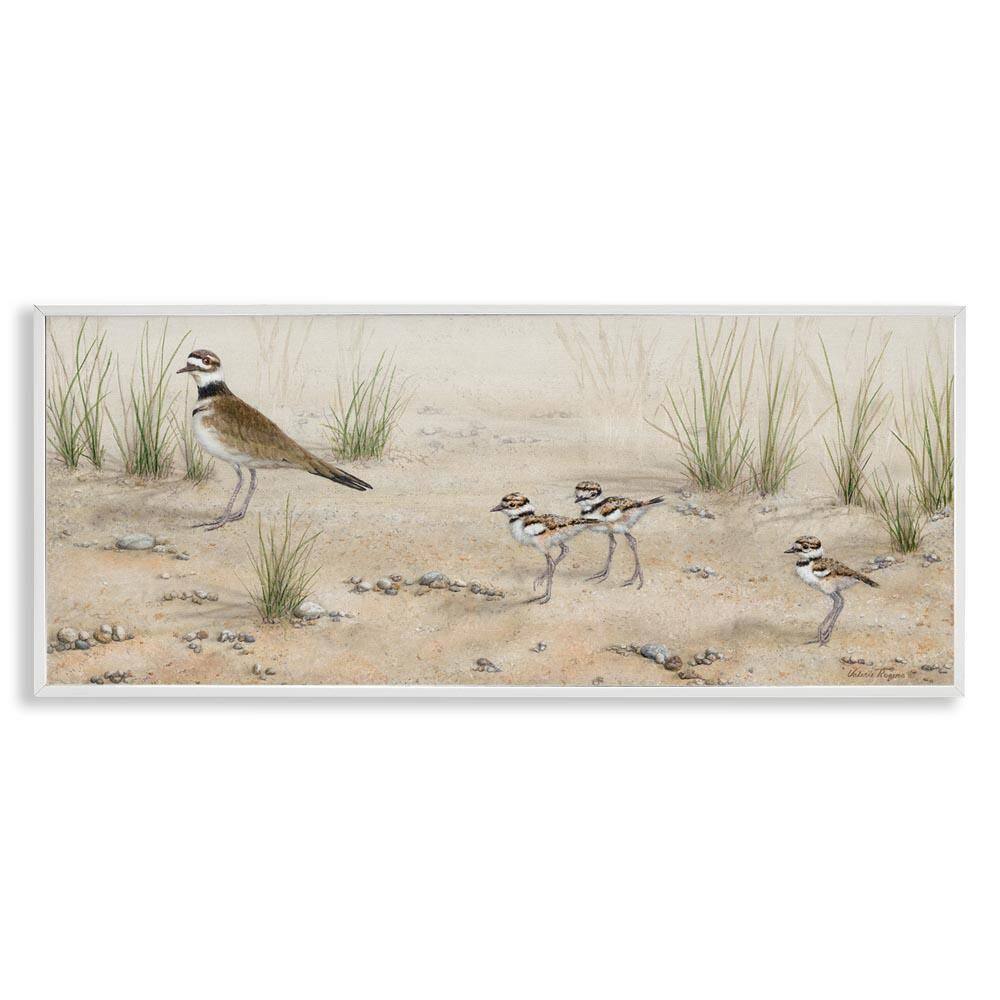 Kildeer Birds Stepping by Valerie Rogers White Framed Nature Giclee Art Print 10 in. x 24 in. price history on PriceWatchPro