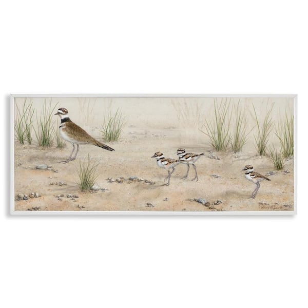 Stupell Industries Kildeer Birds Stepping by Valerie Rogers White Framed Nature Giclee Art Print 13 in. x 30 in.