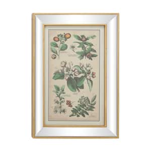 19.5 in. x 28.5 in. Large Vintage Style Plant Illustrations Textile in Mirror and Gold Rectangular Frame