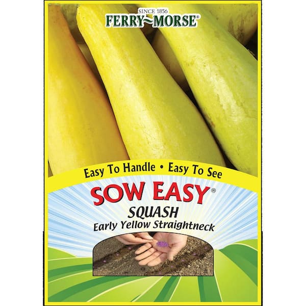 Ferry-Morse Vegetable Squash Early Yellow Straightneck SE Seeds
