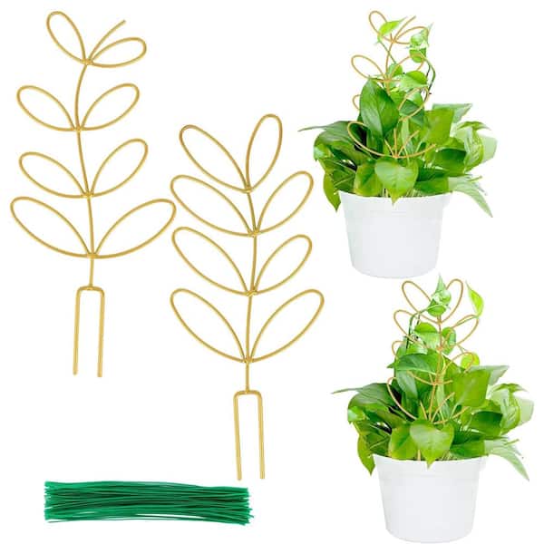 2 Pack 12" Leaf Shape Indoor Plant Trellis - Houseplant Support with 50 Ties (Gold)