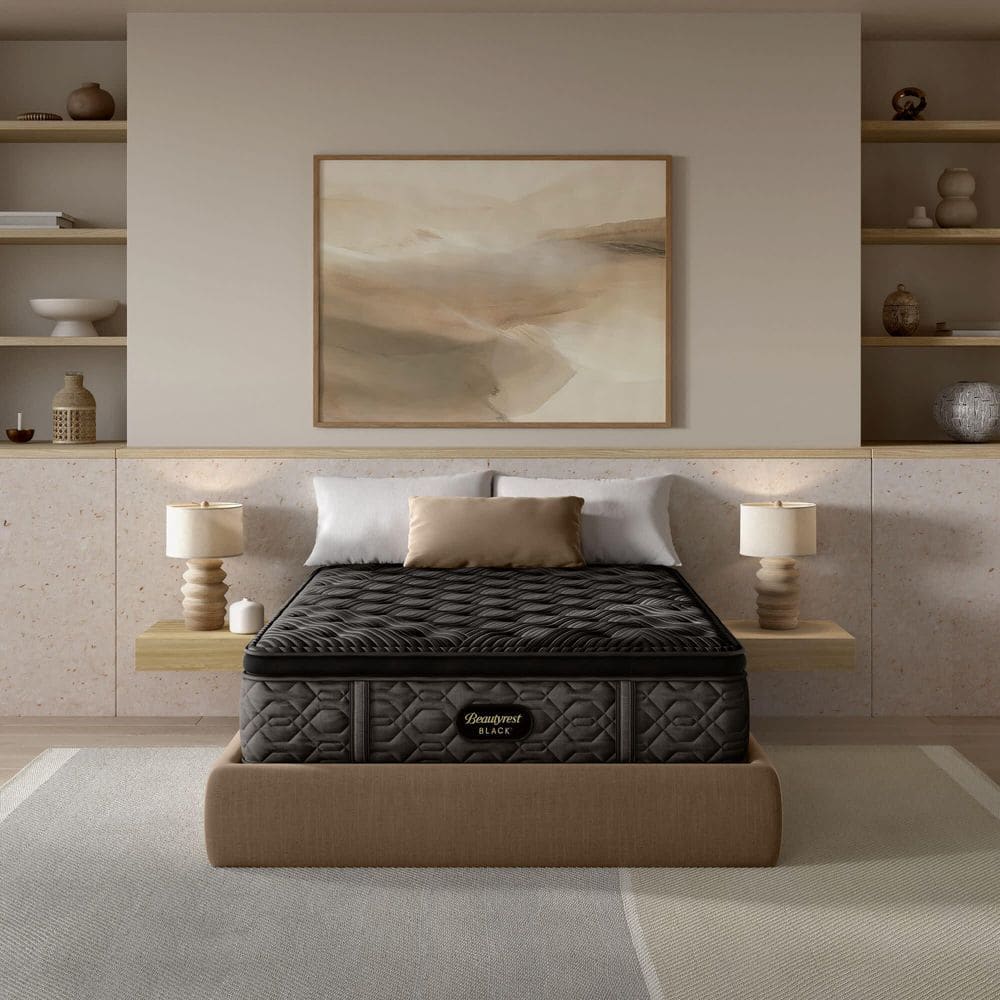 Black Series 1 Queen Plush Pillow Top 14.5 in. Low Profile Mattress Set price history on PriceWatchPro