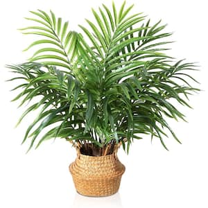 28 in. Green Artificial Palm Tree with Handmade Seagrass Basket