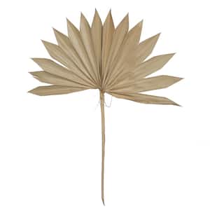 20 in. Brown Preserved Palm Sun Spear, 50 Per Pack