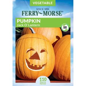 Pumpkin Vegetable Seeds Plant Seeds The Home Depot