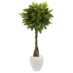 Real Touch 5 ft. High Indoor Money Artificial Tree in White Oval Planter