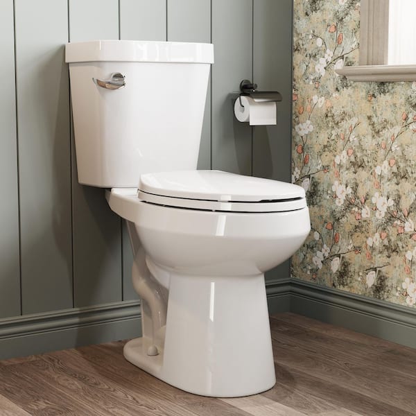 17 in. ADA 2-Piece High-Efficiency 1 GPF Ultra-Saving Single Flush Elongated White Toilet Flush, Seat Included