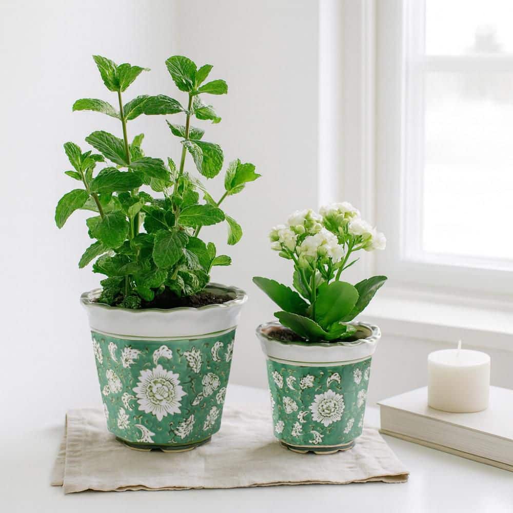 6 in. and 8 in. Green Ceramic Flower and Vine Chinoiserie Planters (Set of 2) price history on PriceWatchPro