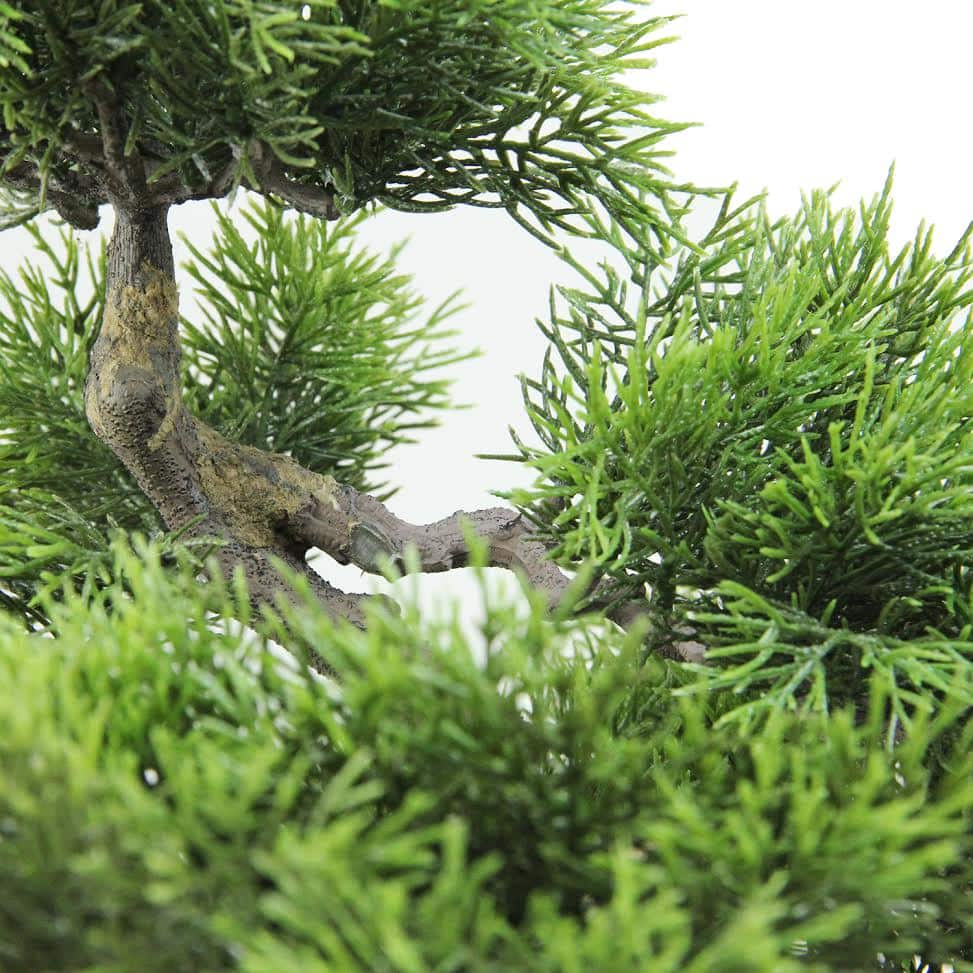 Green Plastic Japanese Bonsai Tree in White Planter Box
