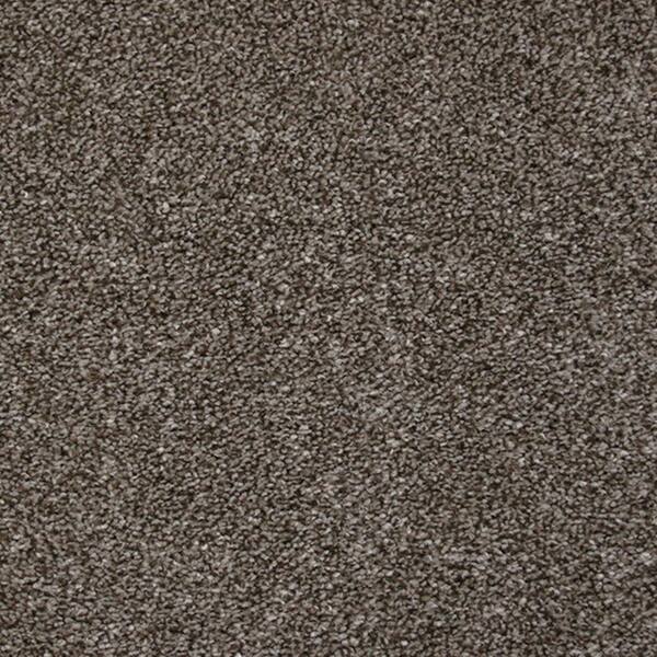 TrafficMaster Carpet Sample - Starry Night I - Color Iron Plaza Texture 8 in. x 8 in.