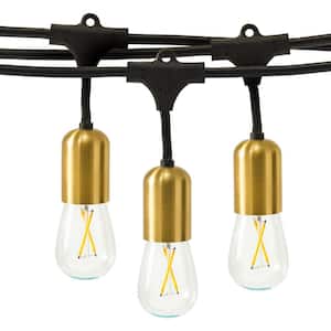 Ambience Glow 15-Light 48 ft. Outdoor Plug-in 2W 2700k LED S14 Hanging Edison Bulb String-Light