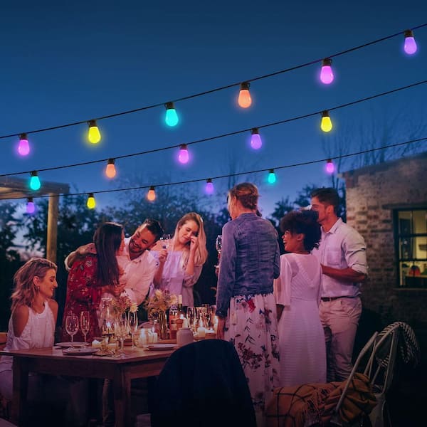 Lynx Dream 48 ft. Outdoor Plug-In LED Input Smart Edison Bulb Wi-Fi Enabled String Light (15-Bulbs)