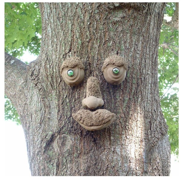 Genuine Tree Peeple WoodChuck Tree Face