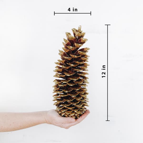 Bindle & Brass 12 in. Gold Sparkle Tip Dried Natural Sugar Pinecones (Set  of 4) BB35-102204 - The Home Depot