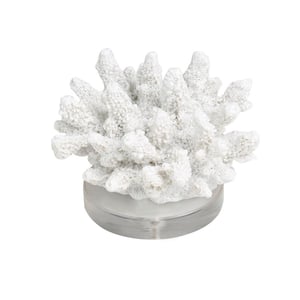 White Polystone Small Textured Coral Sculpture with Clear Acrylic Base