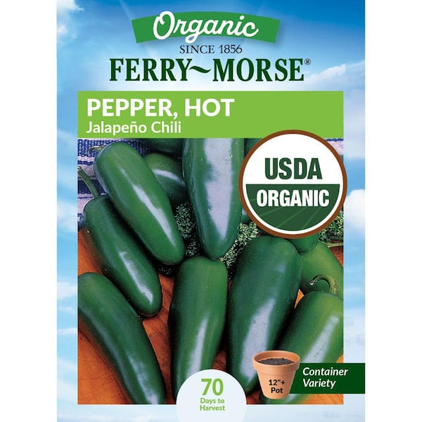 Ferry-Morse Organic Pepper Jalapeno Chili Fruit Seeds