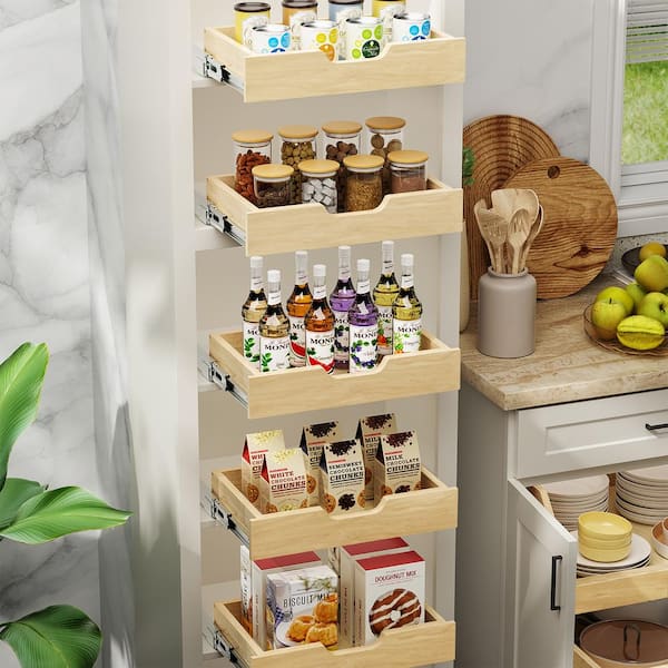 Lynk Professional Pull Out Cabinet Organizer, Slide Out Pantry Shelf 11-in  W x 16.5-in H 2-Tier Cabinet-mount Metal Pull-out Under-sink Organizer in  the Cabinet Organizers department at