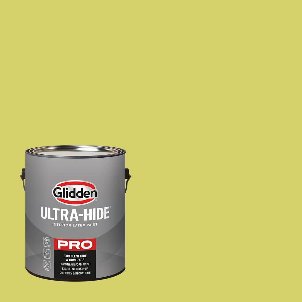1 gal. PPG17-25 Got the Giggles Semi-Gloss Interior Paint price history on PriceWatchPro