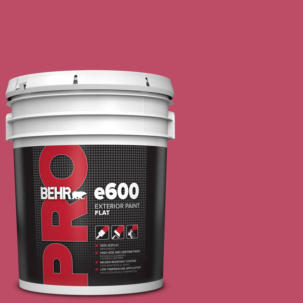 5 gal. #S-G-110 Orchid Rose Flat Exterior Paint price history on PriceWatchPro