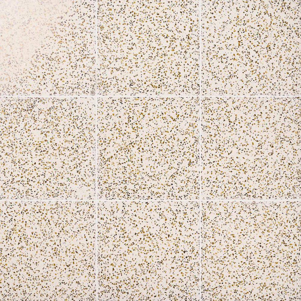 Raleigh Glass Creme Gold 16.14 in. x 16.14 in. Polished Terrazzo Floor and Wall Tile (3.61 Sq. Ft. / Case) price history on PriceWatchPro