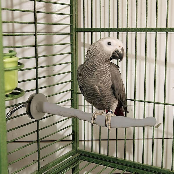 K&H Pet Products Thermo-Perch Medium Bird Perch 100213396 - The