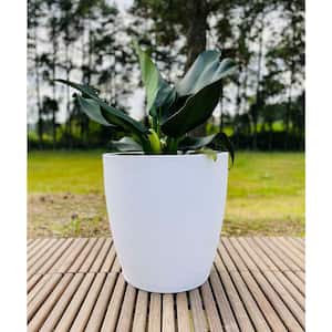 Amsterdan X-Large White Plastic Resin Indoor and Outdoor Planter Bowl