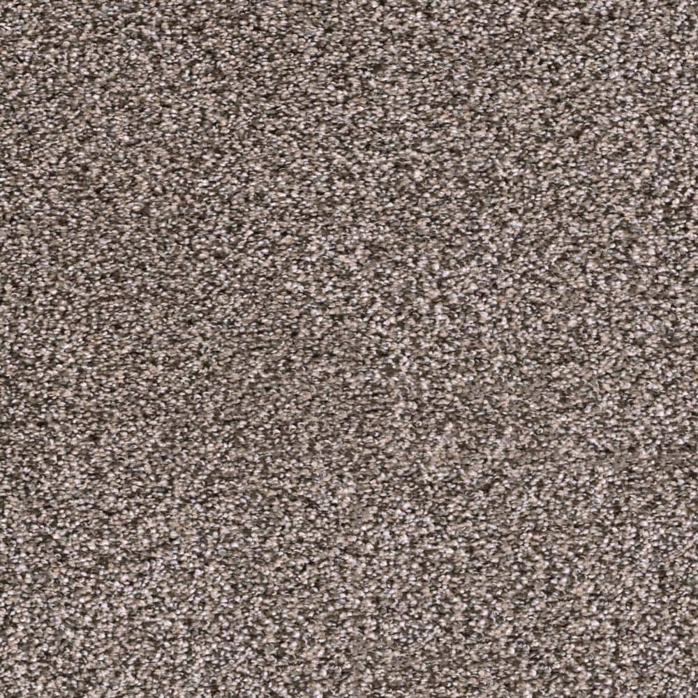 8 in. x  8 in. Texture Carpet Sample - Affectionate I -Color Sincere price history on PriceWatchPro