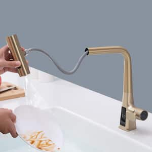 Single Handle Pull Down Sprayer Kitchen Faucet 360° Rotation in Brushed Gold