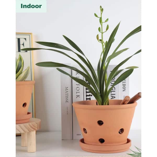 OGETFUUR 2-Pack Terracotta Plant Pots with Saucer, Drainage Holes, Indoor-Outdoor, Orchid Pot (7.9 in. W x 5.3 in. H)