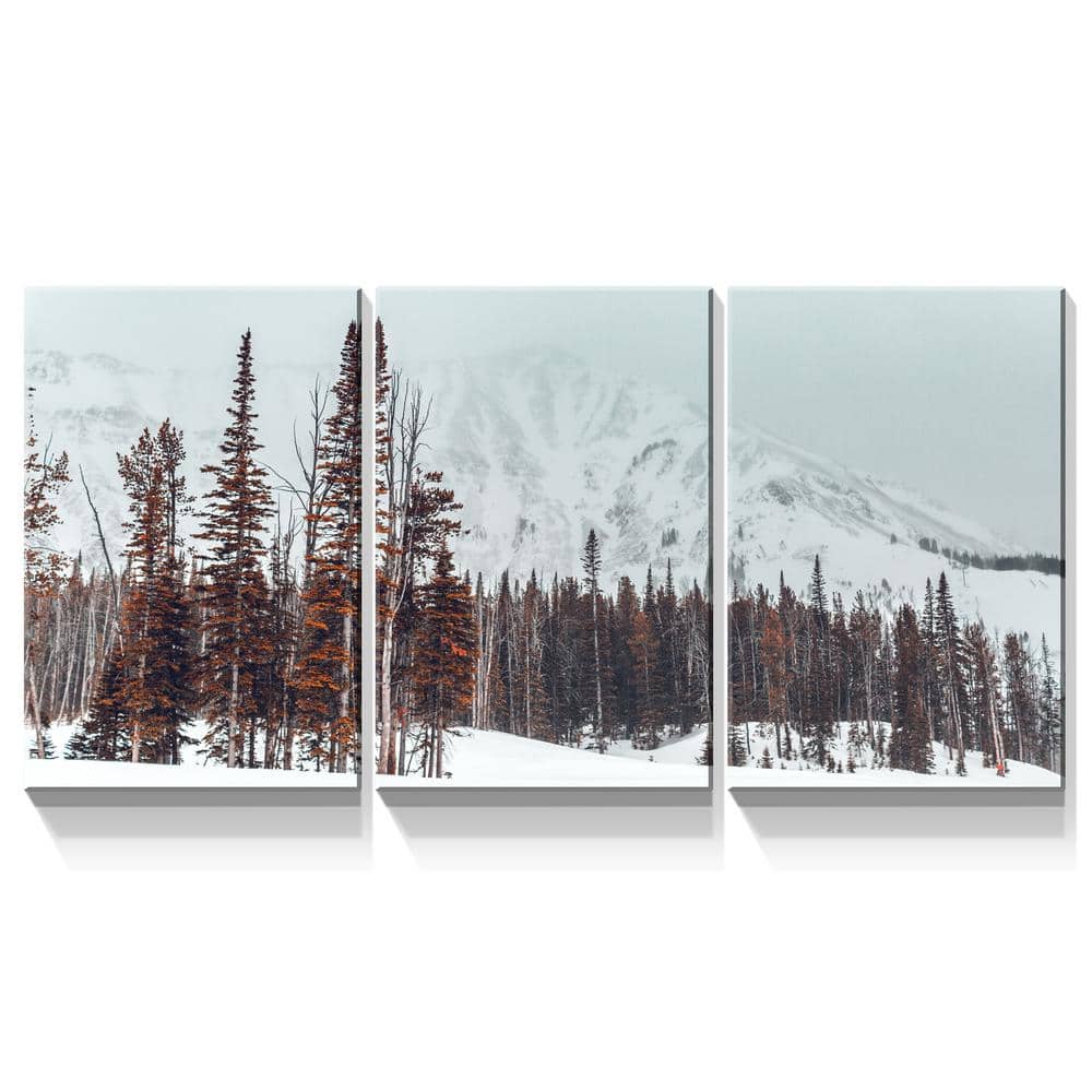 18in. x 12 in. 3-Panels Floater Framed Art Print, Winter Forest Canvas Wall