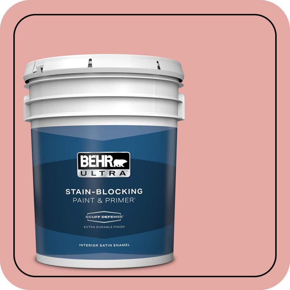 5 gal. #MQ4-3 Coral Fountain Extra Durable Satin Enamel Interior Paint & Primer price history on PriceWatchPro
