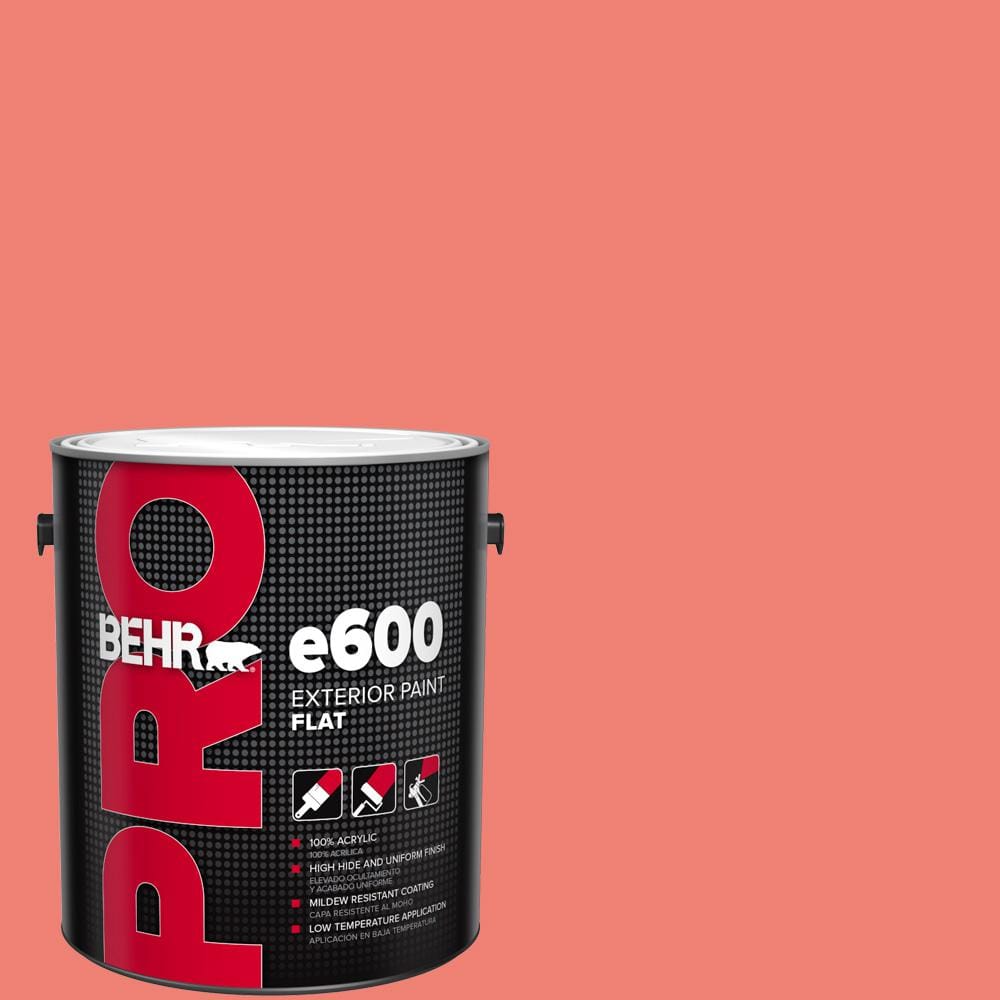 1 gal. #170B-5 Youthful Coral Flat Exterior Paint price history on PriceWatchPro