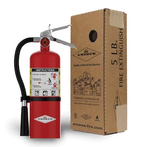 2-A:10-B:C 5 lbs. ABC Dry Chemical Fire Extinguisher