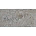 Romagna Gray 12 in. x 24 in. Polished Porcelain Floor and Wall Tile (16 sq. ft./Case)