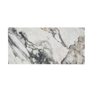 Parkview Astral 11.81 in. x 23.62 in. Polished Porcelain Floor and Wall Tile (15.504 sq. ft./Case)