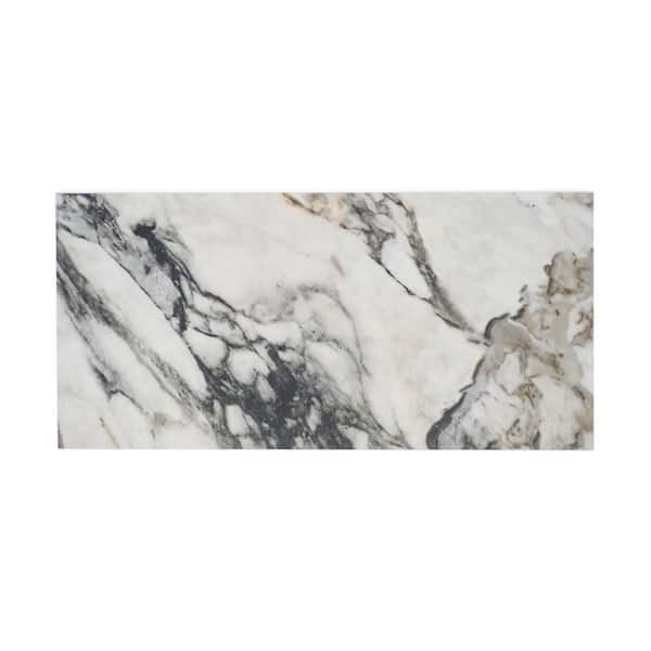 Unbranded Parkview Astral 11.81 in. x 23.62 in. Polished Porcelain Floor and Wall Tile (15.504 sq. ft./Case)