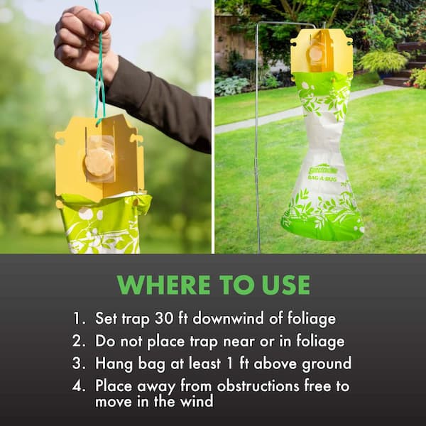 バッグ always do what you should do bug ALWAYS DO WHAT YOU SHOULD DO - BLACK CARRY ALL TOTE BAG – LE LABO