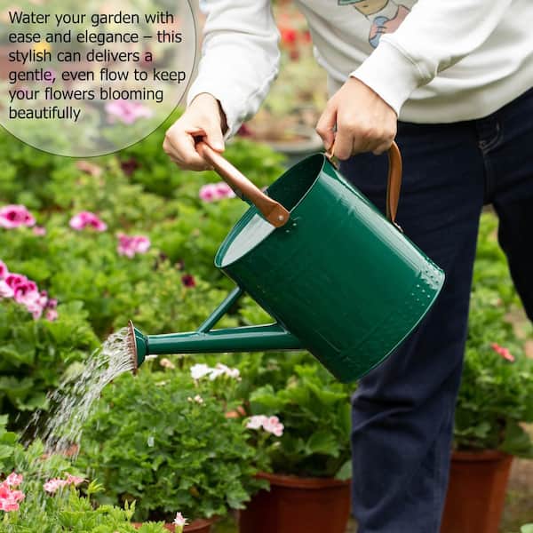 Gardenised 1 Gal. Galvanized Metal Watering Can with Removable