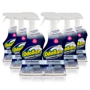 OdoBan 32 oz. OdoRocks Natural Volcanic Rock Odor Eliminator, Unscented  Non-Toxic Rechargeable Odor Absorber Bag for Car & Home 979561-2P - The  Home Depot