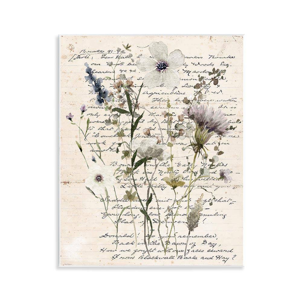 Pressed Flowers on Page by Carol Robinson Unframed Nature Graphic Art Print 14 in. x 11 in.