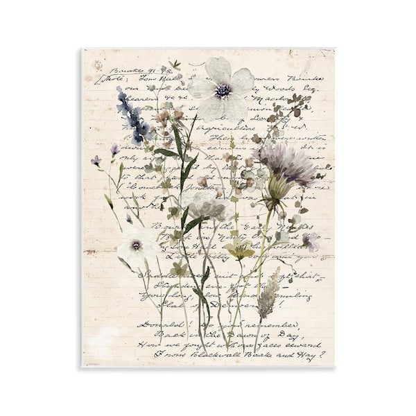 Stupell Industries Pressed Flowers on Page by Carol Robinson Unframed Nature Graphic Art Print 14 in. x 11 in.