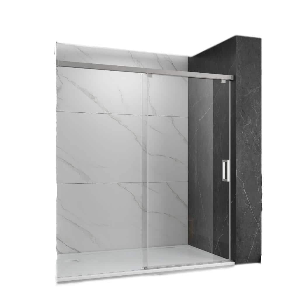 60 in. W x 76 in. H Single Sliding Frameless Shower Door in Stainless Steel