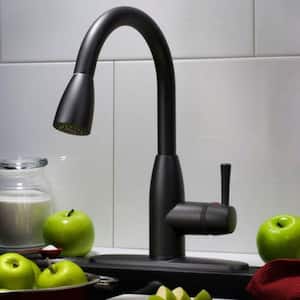 Fairbury Single-Handle Pull-Down Sprayer Kitchen Faucet in Matte Black