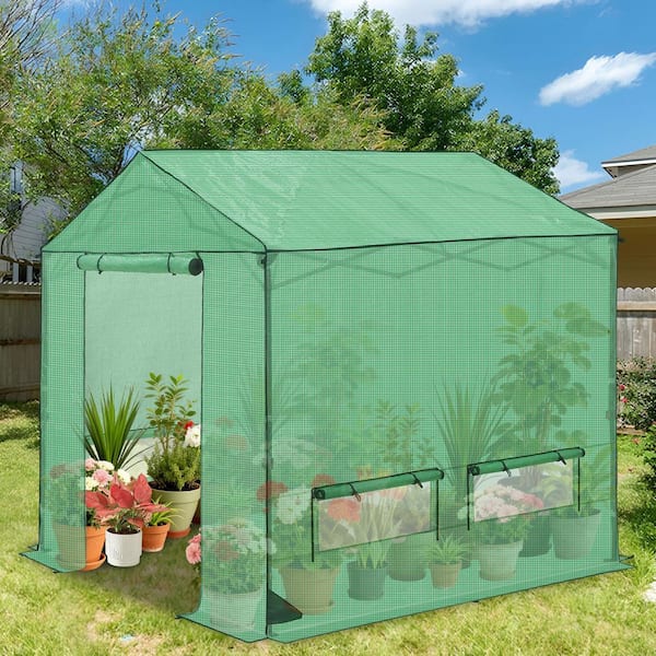 COOS BAY 8 ft. x 8 ft. Walk-In Pop-Up Gardening Greenhouse