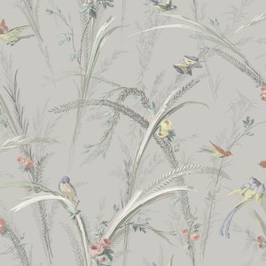 Meadowlark Grey Botanical Grey Wallpaper Sample